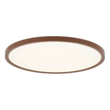 Rabalux - Lámpara LED de techo para baño, 24W, 230V, 3000/4000/6000K, Ø 40 cm, IP44, marrón
