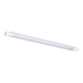 Rabalux - Lámpara técnica LED LED/20W/230V IP65