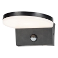 Rabalux - LED Aplique para exterior con sensor LED/9W/230V 2700/4000/6500K IP54 negro