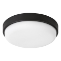 Rabalux - LED Lámpara de techo para exterior LED/14W/230V IP54 negra