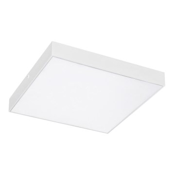 Rabalux - Luminaria de techo LED/24W/230V 2800-6000K IP44 blanca 30x30 cm
