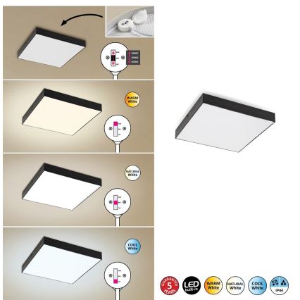Rabalux - LED luminaria de techo LED/24W/230V 2800-6000K IP44 negro 30x30 cm