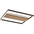 Rabalux - Luminaria de techo LED/30W/230V 3000/4500/6000K
