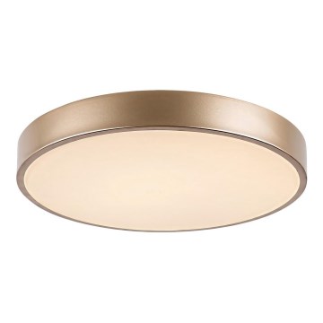 Rabalux - Luminaria de techo LED/36W/230V 3000K Ø 40 cm