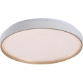 Rabalux - Luminaria de techo LED regulable LED/34W/230V 3000-6500K Ø 38 cm + mando a distancia