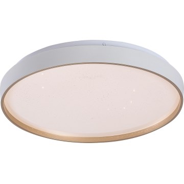 Rabalux - Luminaria de techo LED regulable LED/34W/230V 3000-6500K Ø 38 cm + mando a distancia