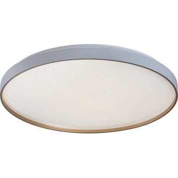 Rabalux - Luminaria de techo LED regulable LED/60W/230V 3000-6500K diámetro 58 cm + mando a distancia
