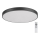 Rabalux - Luminaria de techo LED regulable LED/60W/230V, diámetro 60 cm + mando a distancia