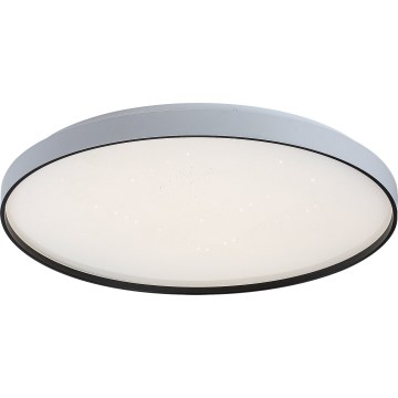 Rabalux - Luminaria de techo LED regulable LED/80W/230V 3000-6500K diámetro 77 cm + mando a distancia