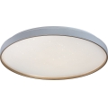 Rabalux - Luminaria de techo LED regulable LED/80W/230V 3000-6500K Ø 77 cm + mando a distancia
