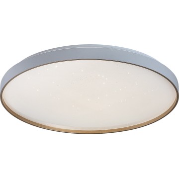 Rabalux - Luminaria de techo LED regulable LED/80W/230V 3000-6500K Ø 77 cm + mando a distancia