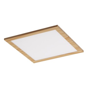 Rabalux - Panel LED montado en superficie LED/12W/230V 4000K
