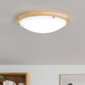 Rabalux - Plafón 1xE27/60W/230V diá. 30 cm