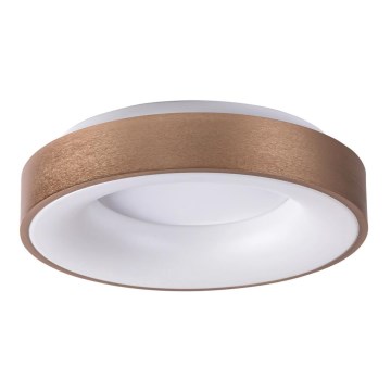 Rabalux - Plafón LED CARMELA LED/30W/230V diá. 38 cm
