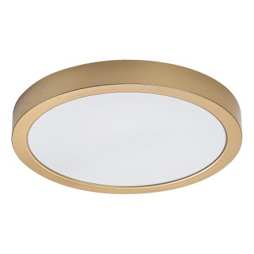 Rabalux - Plafón LED de techo para baño LED/30W/230V Ø 30 cm IP44 dorado