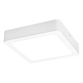 Rabalux - Plafón LED LED/24W/230V 4000K 22x22 cm blanco