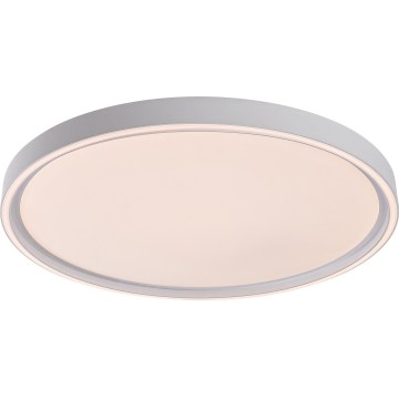 Rabalux - Plafón LED regulable 54W/230V IP40 3000-6500K Ø 52 cm + mando a distancia