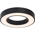 Rabalux - Plafón LED regulable LED/45W/230V 3000-6500K diámetro 60 cm negro + mando a distancia