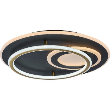 Rabalux - Plafón LED regulable LED/60W/230V 3000-6000K Ø 50 cm + mando a distancia
