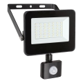 Rabalux - Reflector LED con sensor LED/30W/230V 4000K IP44 negro