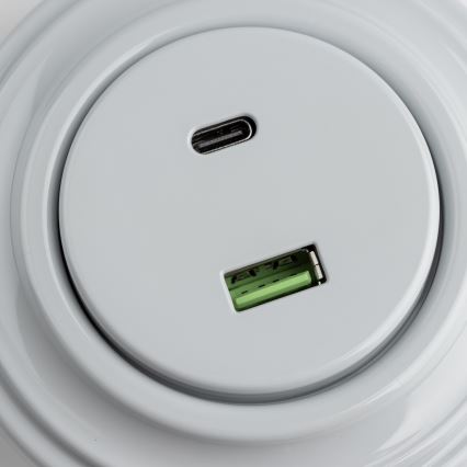 Reblig - Enchufe retro con puertos USB-A y USB-C y marco, gris