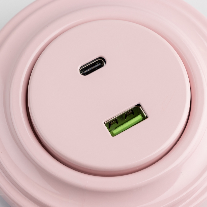 Reblig - Enchufe USB retro A+C con marco, rosa empolvado