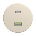 Reblig - Enchufe USB retro A+C sin marco beige