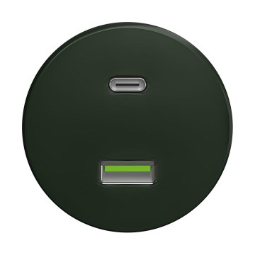 Reblig - Enchufe USB retro A+C sin marco, verde