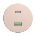Reblig - Toma USB retro A+C sin marco, rosa empolvado