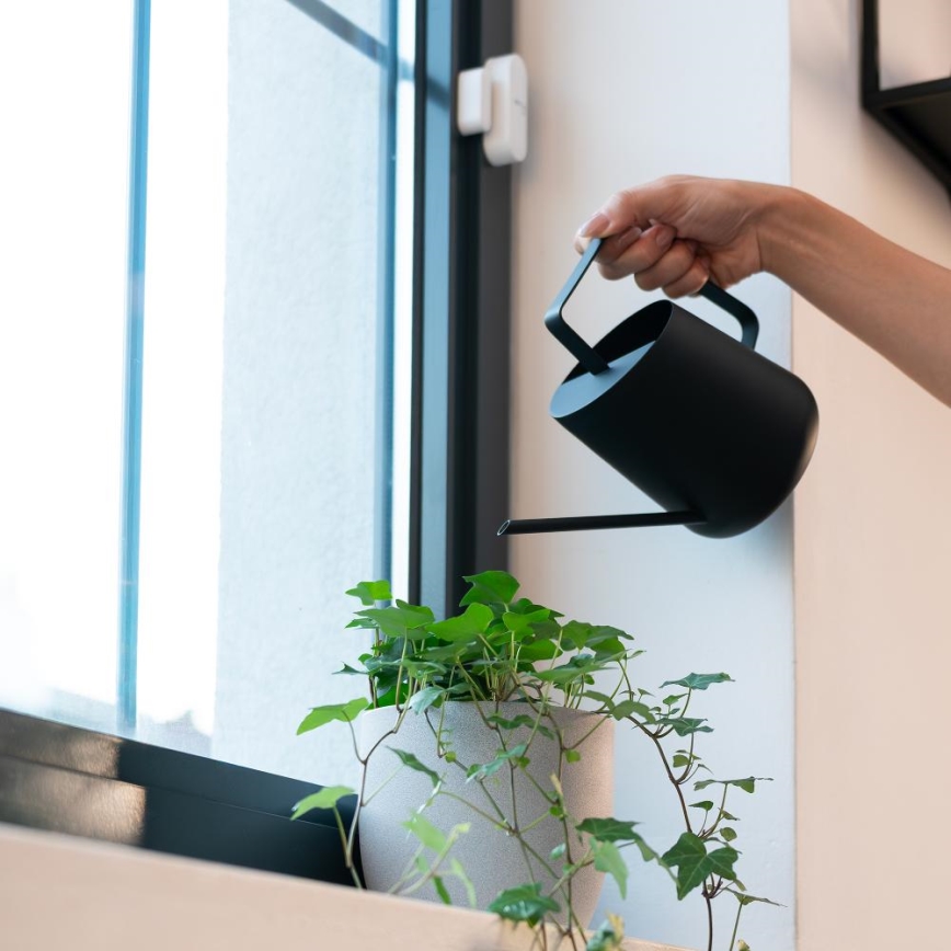 Sensor inteligente para ventanas y puertas, alimentado por 2 pilas AAA