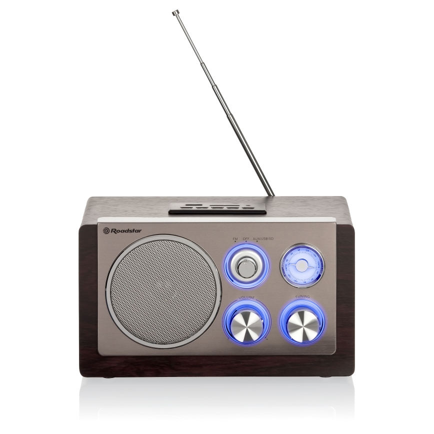 Roadstar HRA-1345NUS/WD - Radio FM de 16 W/230 V