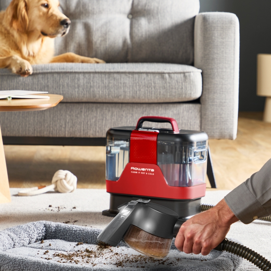 Rowenta - Limpiador de alfombras y tapicerías CLEAN IT HOT & COLD ANIMAL 1150W/230V