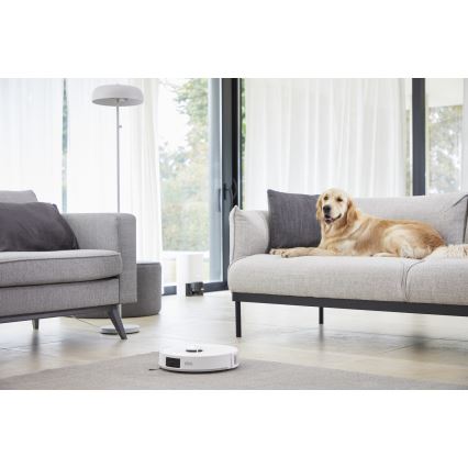 Rowenta - Robot aspirador X-PLORER ANIMAL DETECT 40 W / 32,4 V 2600 mAh