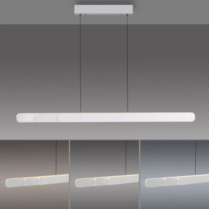Schöner Wohnen 12577-16 - Lámpara colgante LED regulable con cable ADRIANA ROUND 2xLED/24W/230V 2700/3000/3500/4000/5000K 160 cm blanco