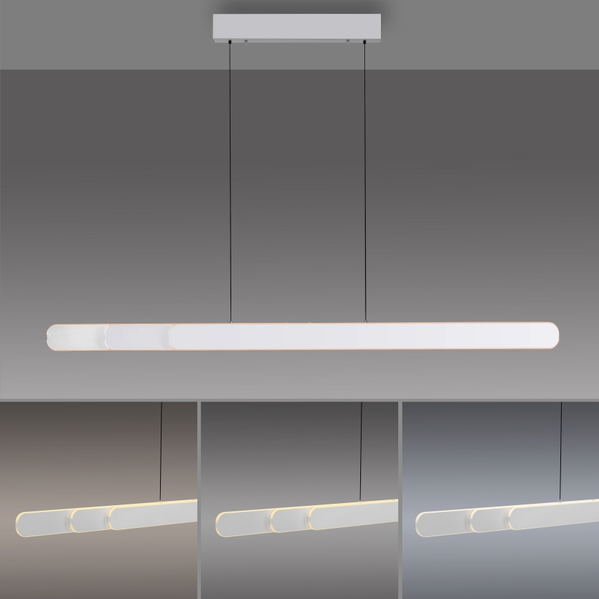 Schöner Wohnen 12577-16 - Lámpara colgante LED regulable con cable ADRIANA ROUND 2xLED/24W/230V 2700/3000/3500/4000/5000K 160 cm blanco