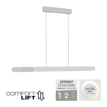 Schöner Wohnen 12577-16 - Lámpara colgante LED regulable con cable ADRIANA ROUND 2xLED/24W/230V 2700/3000/3500/4000/5000K 160 cm blanco