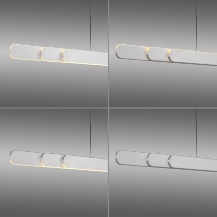 Schöner Wohnen 12577-16 - Lámpara colgante LED regulable con cable ADRIANA ROUND 2xLED/24W/230V 2700/3000/3500/4000/5000K 160 cm blanco