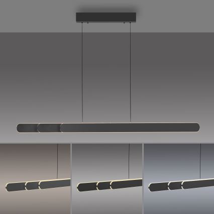 Schöner Wohnen 12577-18 - Lámpara colgante LED regulable suspendida en cable ADRIANA ROUND 2xLED/24W/230V 2700/3000/3500/4000/5000K 160 cm negro