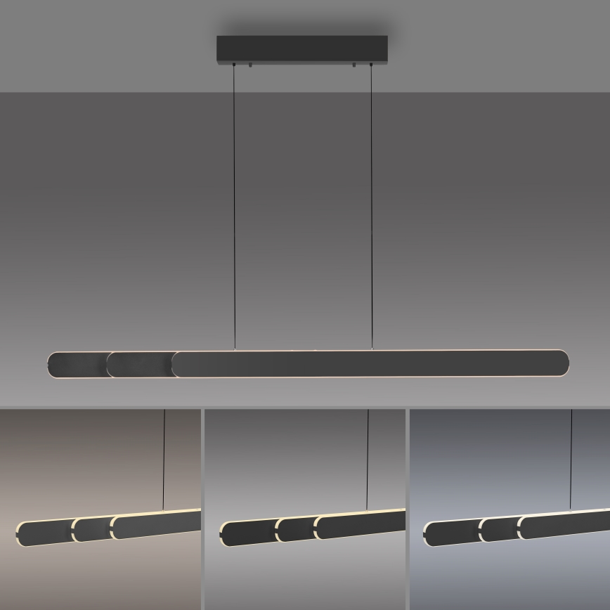 Schöner Wohnen 12577-18 - Lámpara colgante LED regulable suspendida en cable ADRIANA ROUND 2xLED/24W/230V 2700/3000/3500/4000/5000K 160 cm negro
