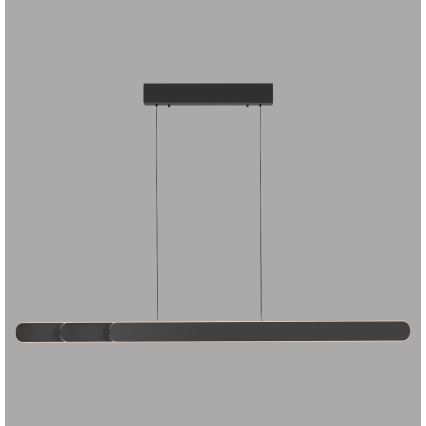 Schöner Wohnen 12577-18 - Lámpara colgante LED regulable suspendida en cable ADRIANA ROUND 2xLED/24W/230V 2700/3000/3500/4000/5000K 160 cm negro