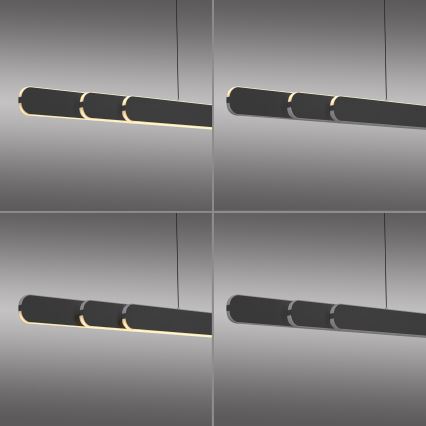Schöner Wohnen 12577-18 - Lámpara colgante LED regulable suspendida en cable ADRIANA ROUND 2xLED/24W/230V 2700/3000/3500/4000/5000K 160 cm negro