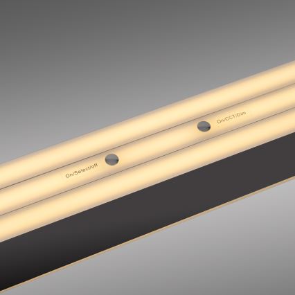 Schöner Wohnen 12577-18 - Lámpara colgante LED regulable suspendida en cable ADRIANA ROUND 2xLED/24W/230V 2700/3000/3500/4000/5000K 160 cm negro