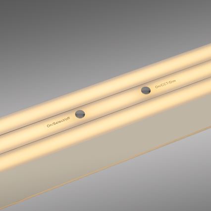 Schöner Wohnen 12577-39 - Lámpara colgante LED regulable suspendida por cable ADRIANA ROUND 2xLED/24W/230V 2700/3000/3500/4000/5000K 160 cm, gris