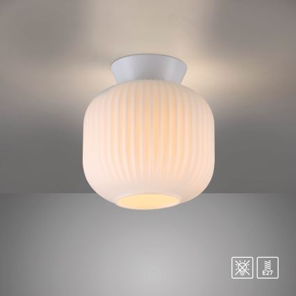 Schöner Wohnen 13574-16 - Lámpara de techo NAMI 1xE27/25W/230V Ø 20 cm blanca
