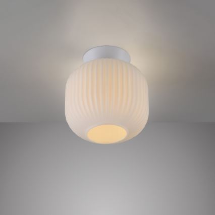 Schöner Wohnen 13574-16 - Lámpara de techo NAMI 1xE27/25W/230V Ø 20 cm blanca
