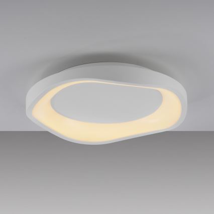 Schöner Wohnen 14233-16 - Luminaria de techo LED regulable MONTA LED/21W/230V Ø 40 cm blanca