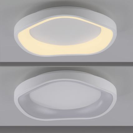 Schöner Wohnen 14233-16 - Luminaria de techo LED regulable MONTA LED/21W/230V Ø 40 cm blanca