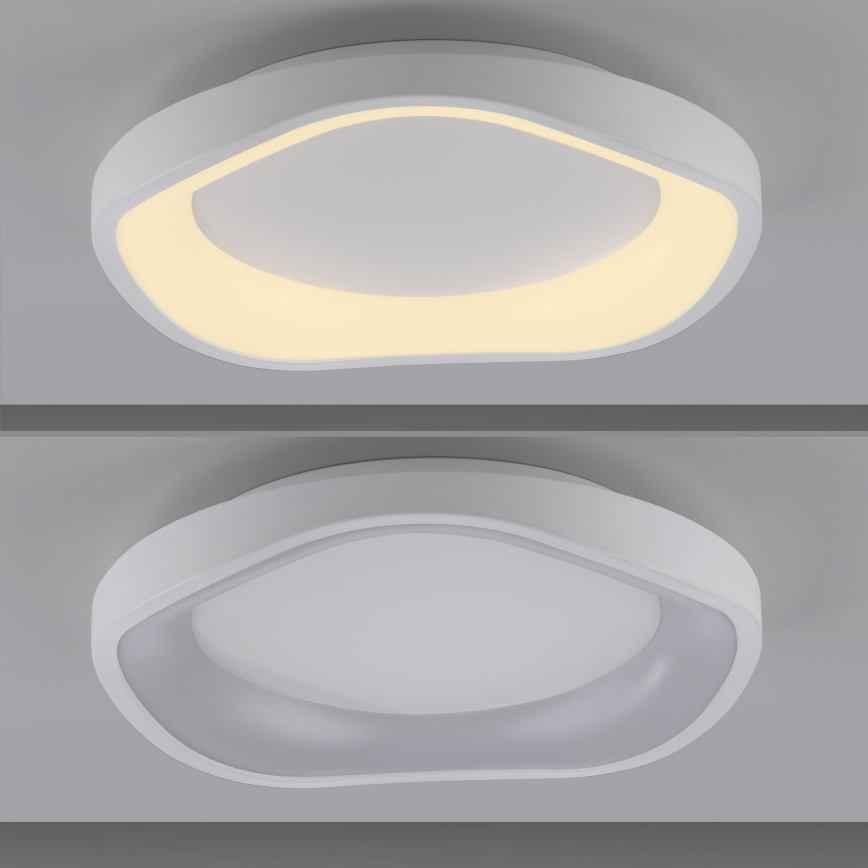 Schöner Wohnen 14233-16 - Luminaria de techo LED regulable MONTA LED/21W/230V Ø 40 cm blanca