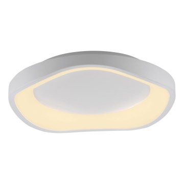 Schöner Wohnen 14233-16 - Luminaria de techo LED regulable MONTA LED/21W/230V Ø 40 cm blanca
