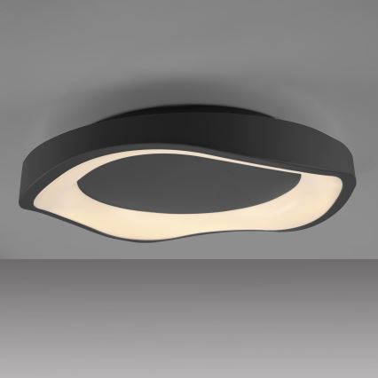Schöner Wohnen 14233-18 - Luminaria de techo LED regulable MONTA LED/21W/230V Ø 40 cm negra